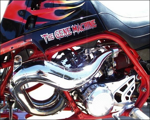 Show-Banshee11.jpg