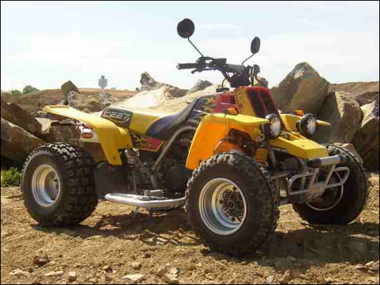 banshee11.jpg